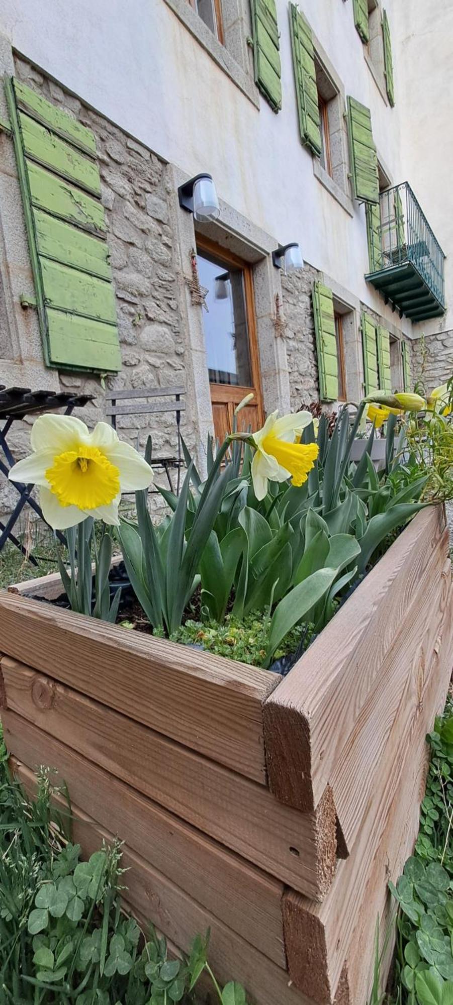 Le Grenier Des Moineaux Panzió Font-Romeu-Odeillo-Via Kültér fotó